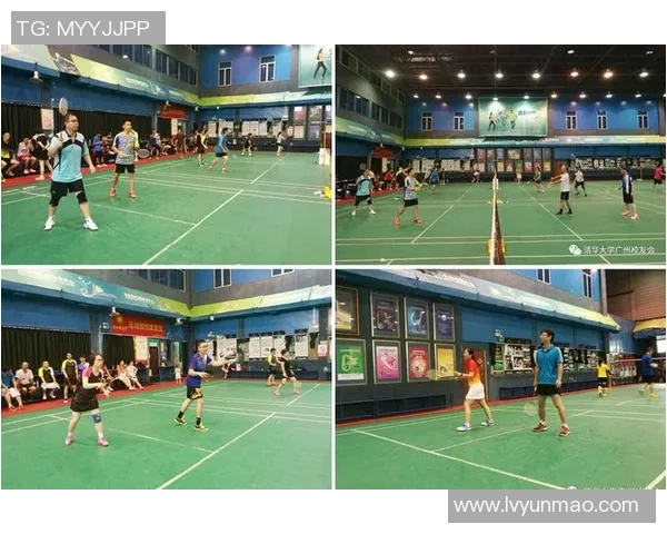 广州羽毛球队实力深度解析与其他球队的对比分析